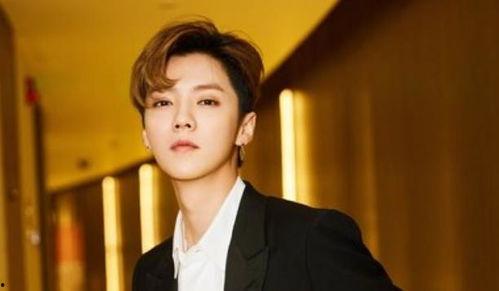 娱乐圈吃瓜合集博君一肖